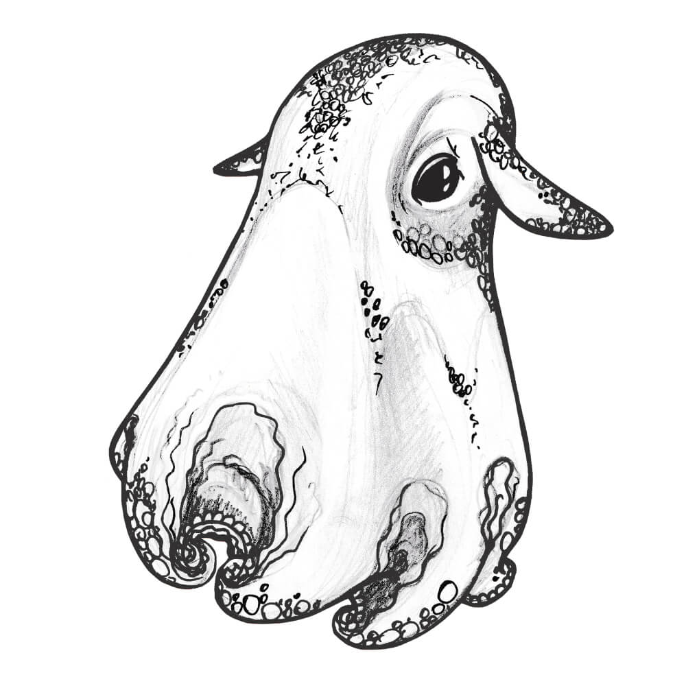 the dumbo octopus