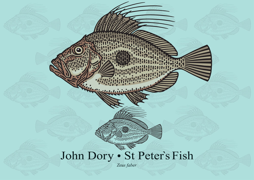 the john dory