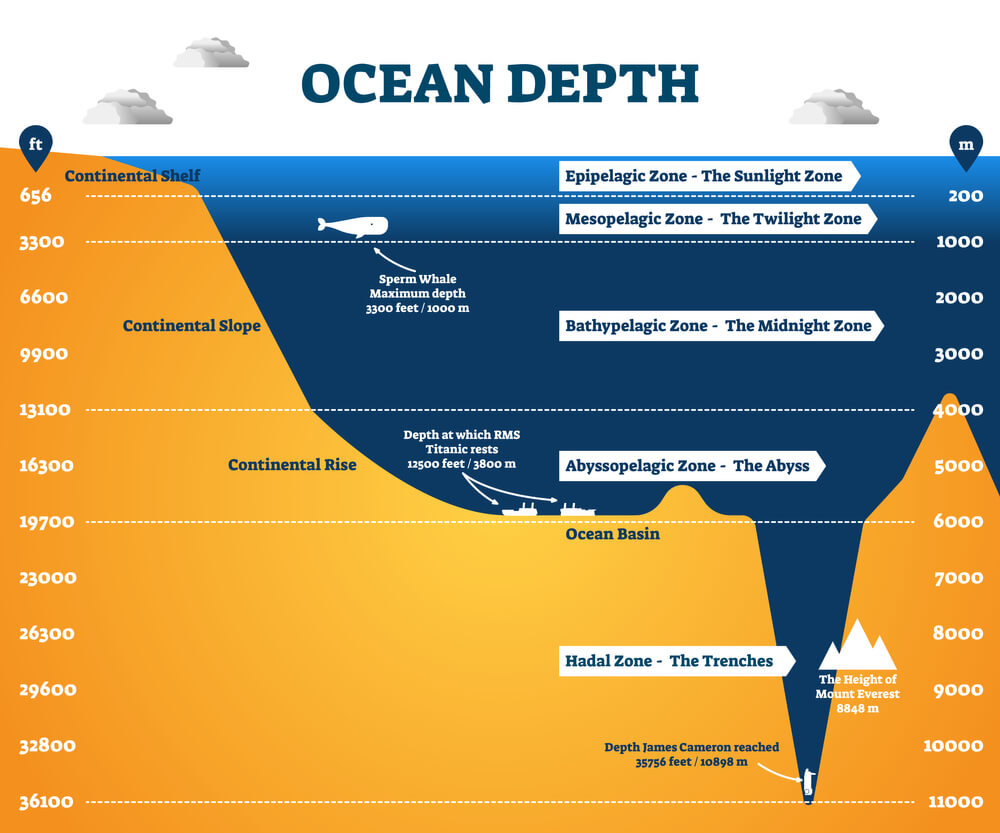 Bathypelagic zone